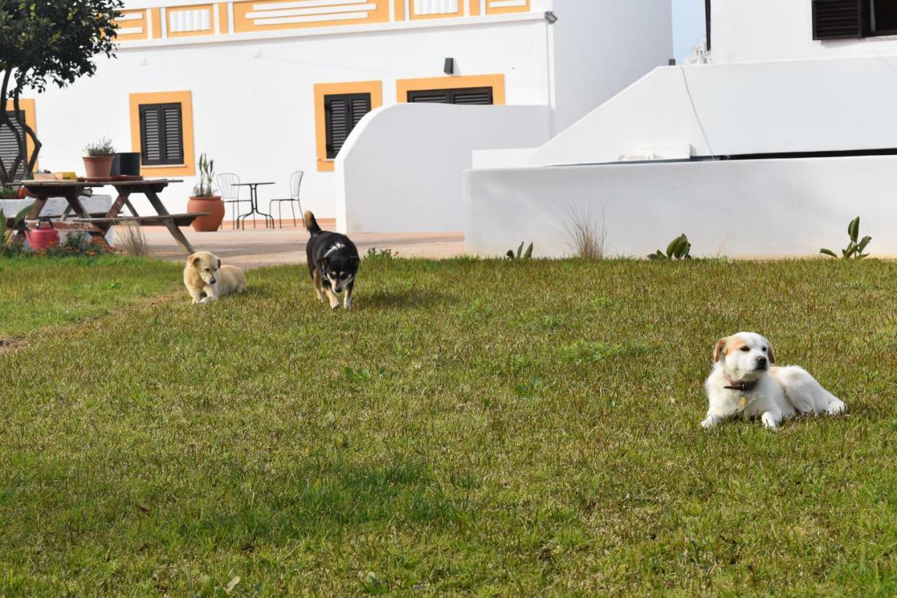 Quinta David Villa Alvor Eksteriør bilde